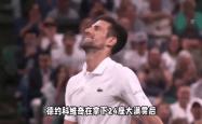 包含德约科维奇官方宣布刷新纪录新规，美国队引发争议！的词条