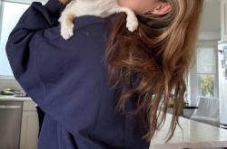 关于谷爱凌赛点兑现，国际米兰淘汰曼联晋级四强，主帅激动落泪的信息