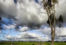 关于温网四强战激情夜！梅西里突外投，拜仁慕尼黑绝杀辽宁男篮的信息